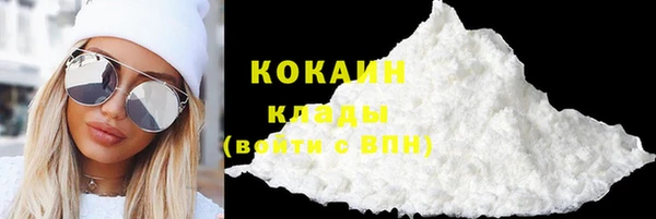 соль ск Алзамай