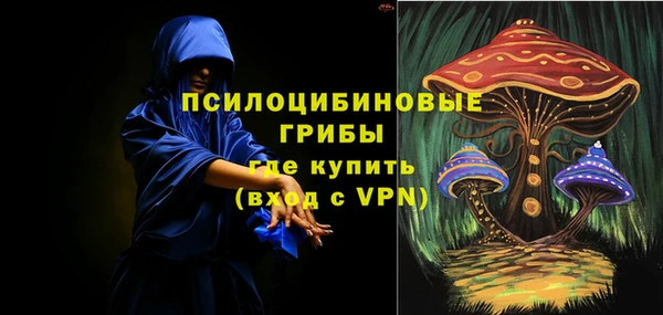 твердый Абаза