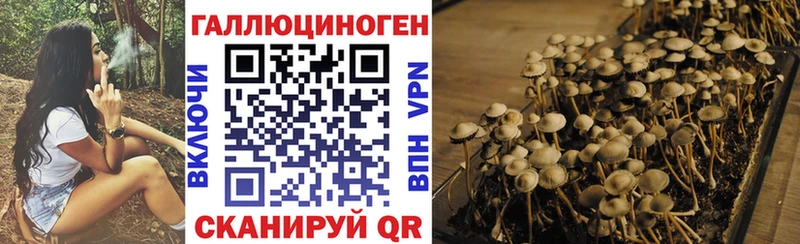 Псилоцибиновые грибы мицелий  Княгинино 